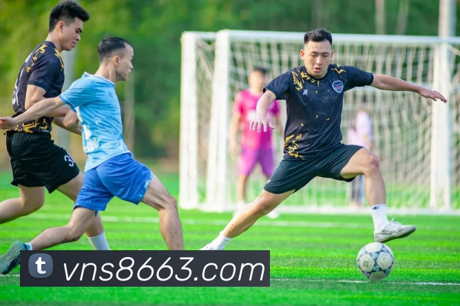 威尼斯人官网平台生态图